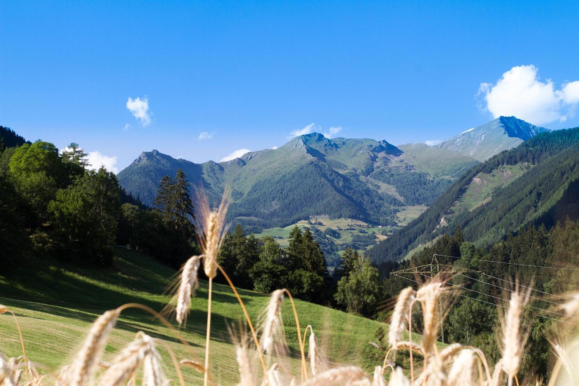 Ranacherhof Obervellach Zewnętrze zdjęcie