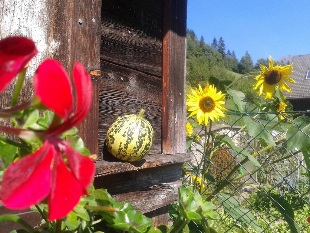 Ranacherhof Obervellach Zewnętrze zdjęcie