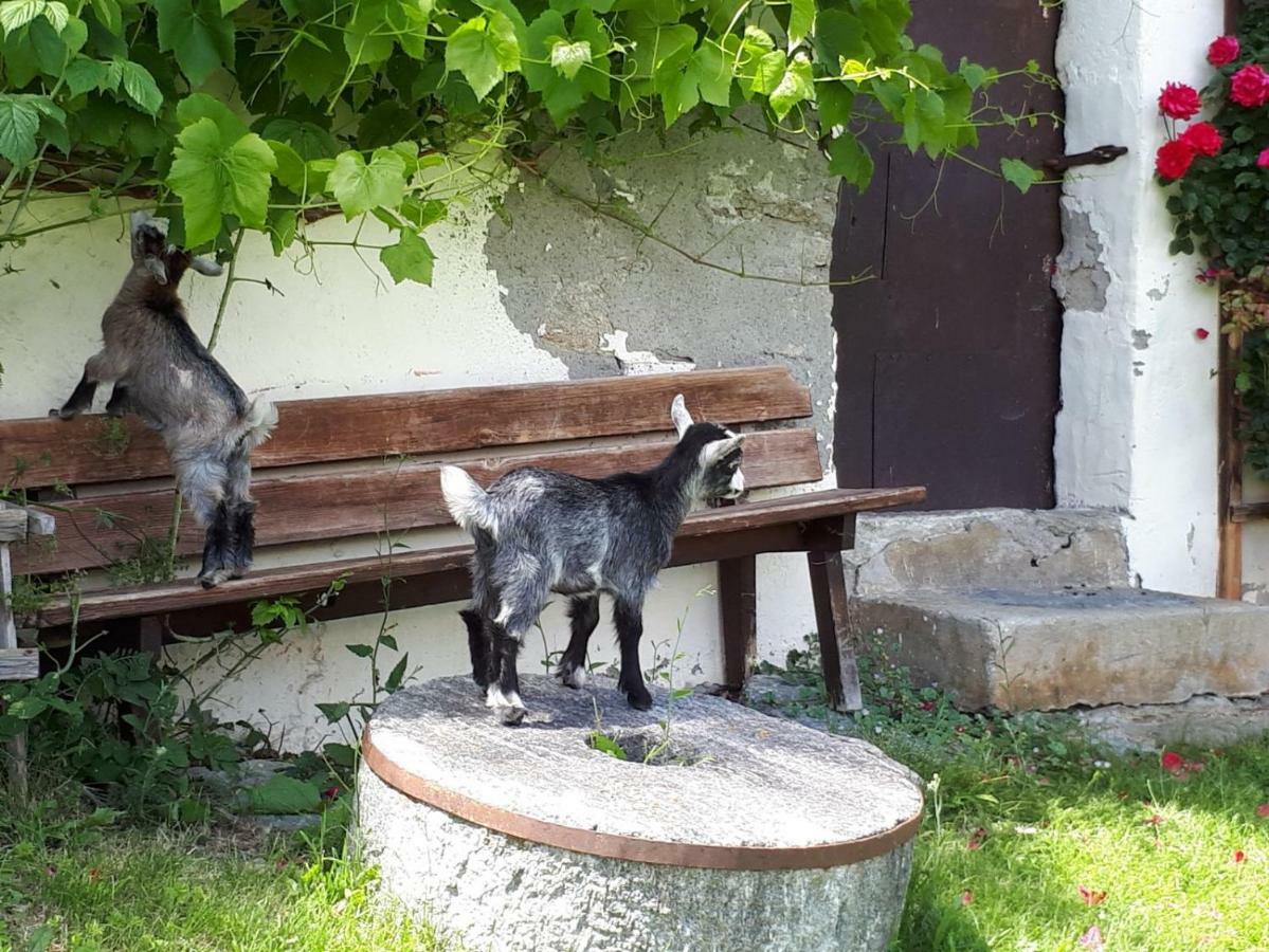 Ranacherhof Obervellach Zewnętrze zdjęcie